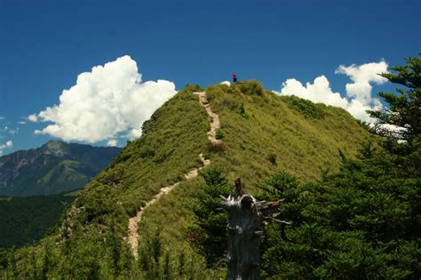 畢祿山